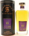 Linkwood 2008 SV Cask Strength Collection 62.1% 700ml