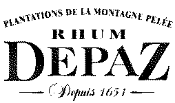 Depaz logo